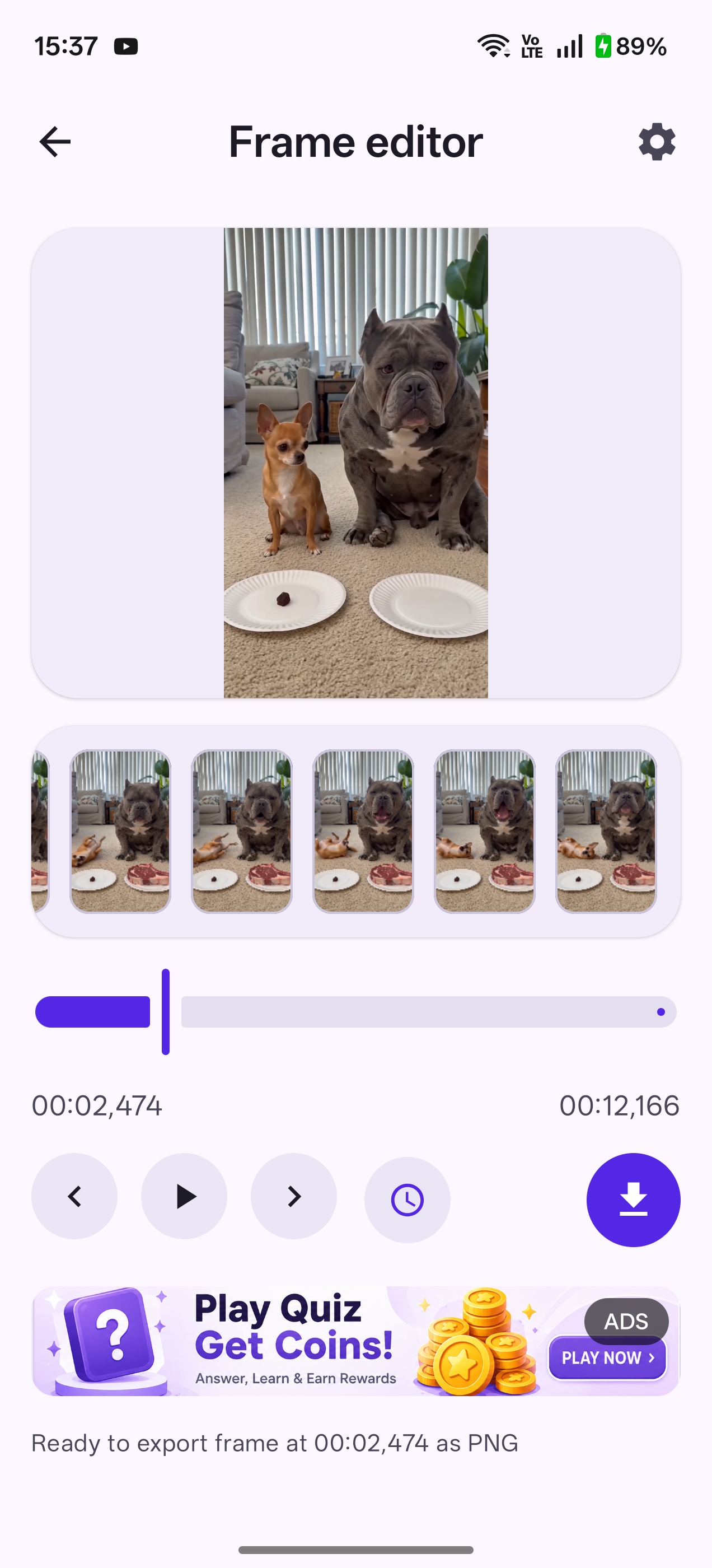 Frame Capture screenshot 3